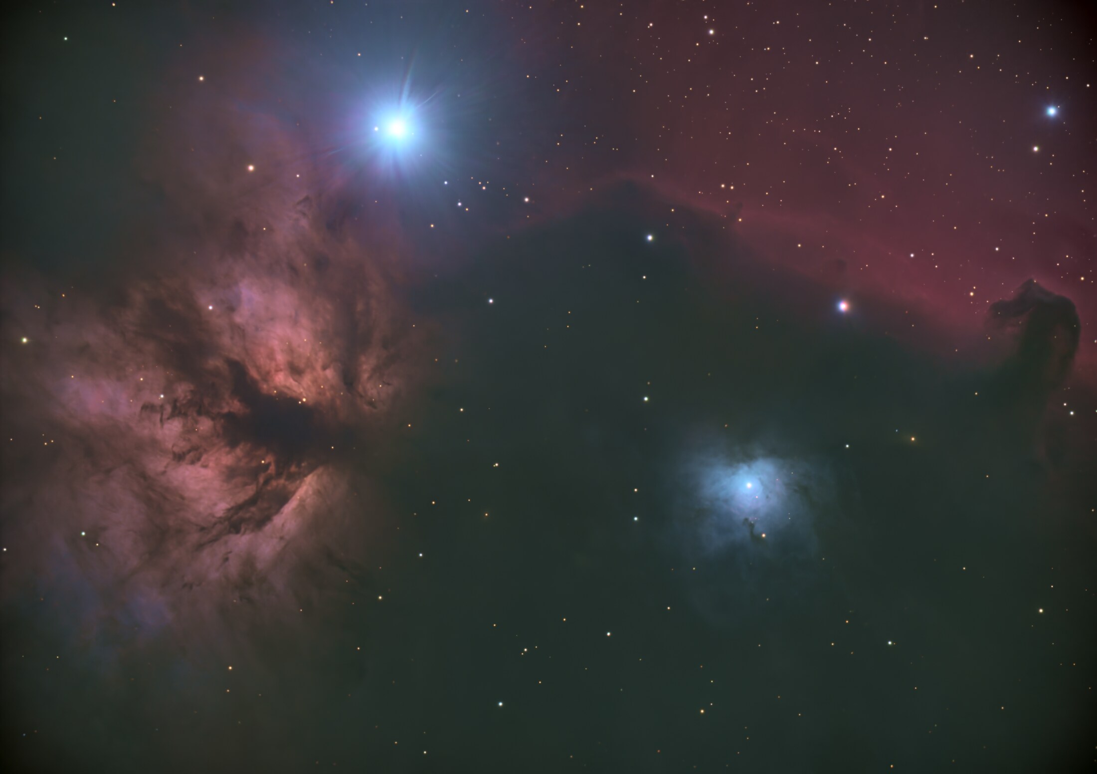 Horsehead and Flame Nebulae